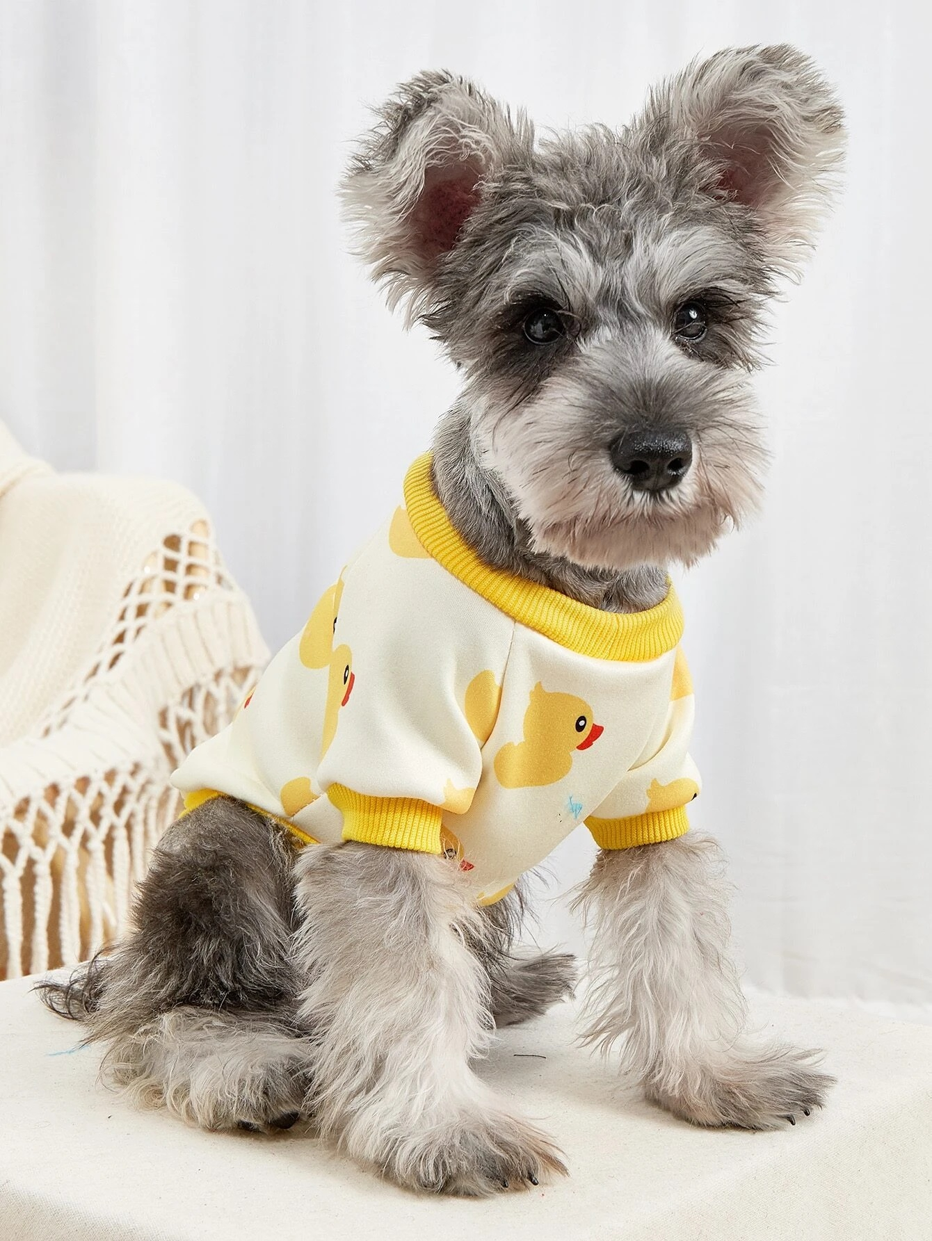 Žltá mikina pre psa s potlačou