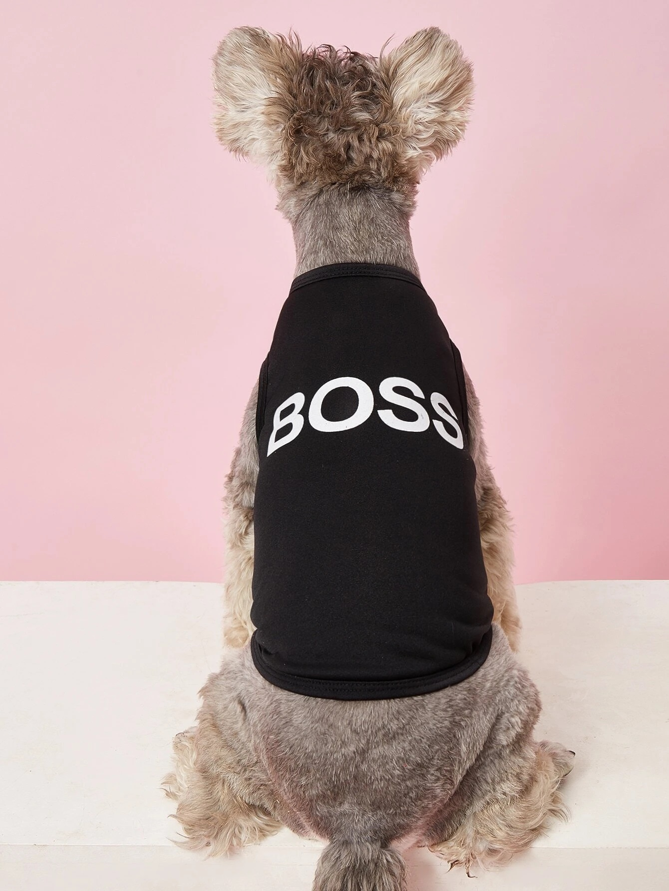 Čierna mikina pre psa