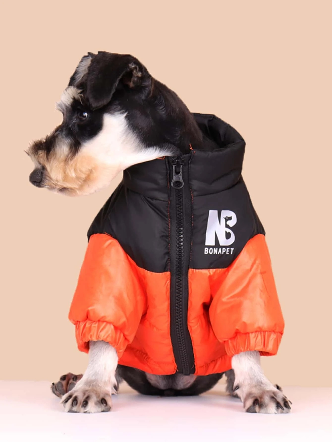 Oranžová vetrovka pre psa