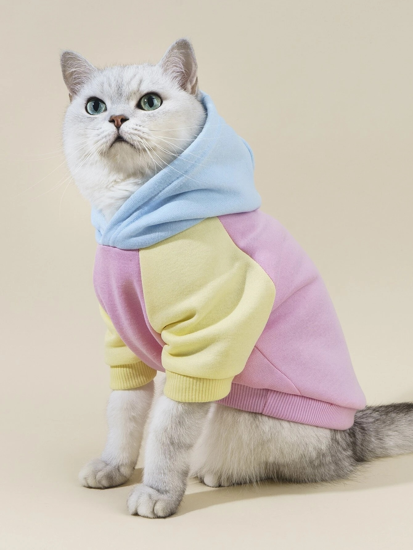 Viacfarebná mikina pre domáceho miláčika