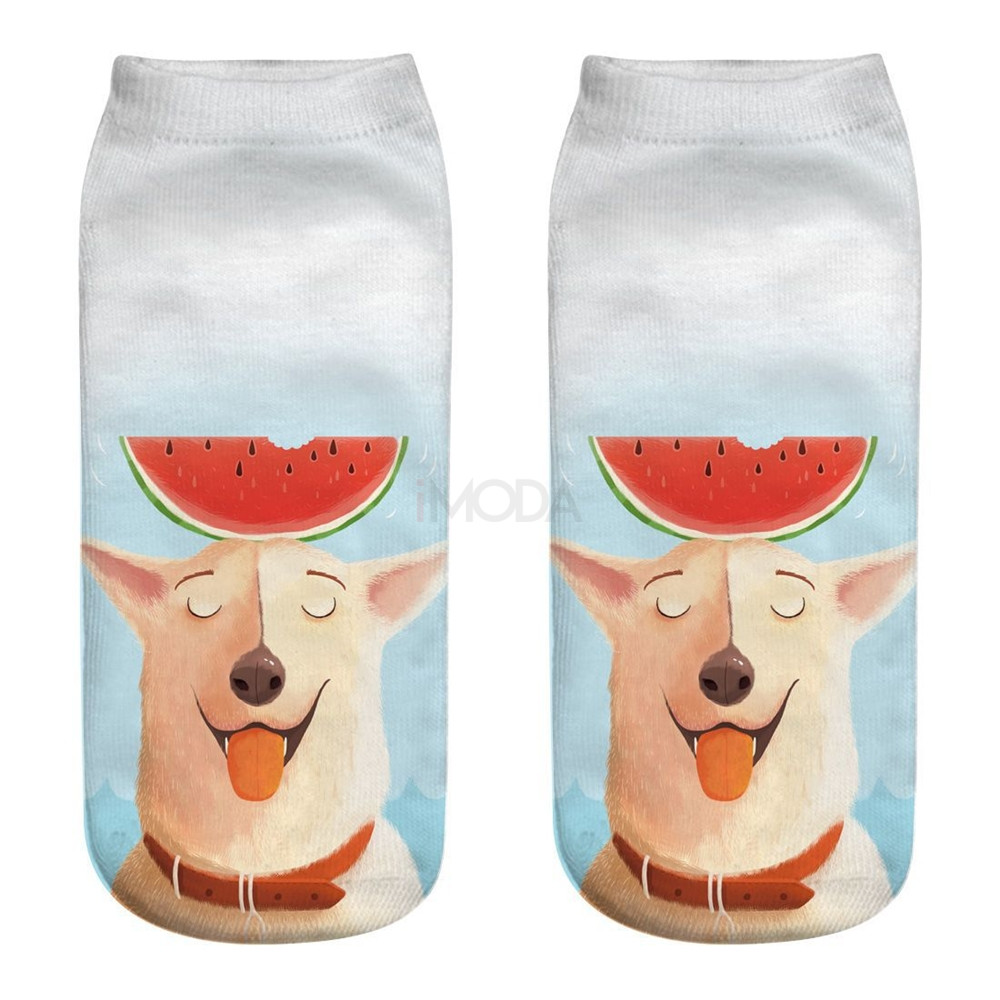 Ponožky Pes s melónom-182189-31