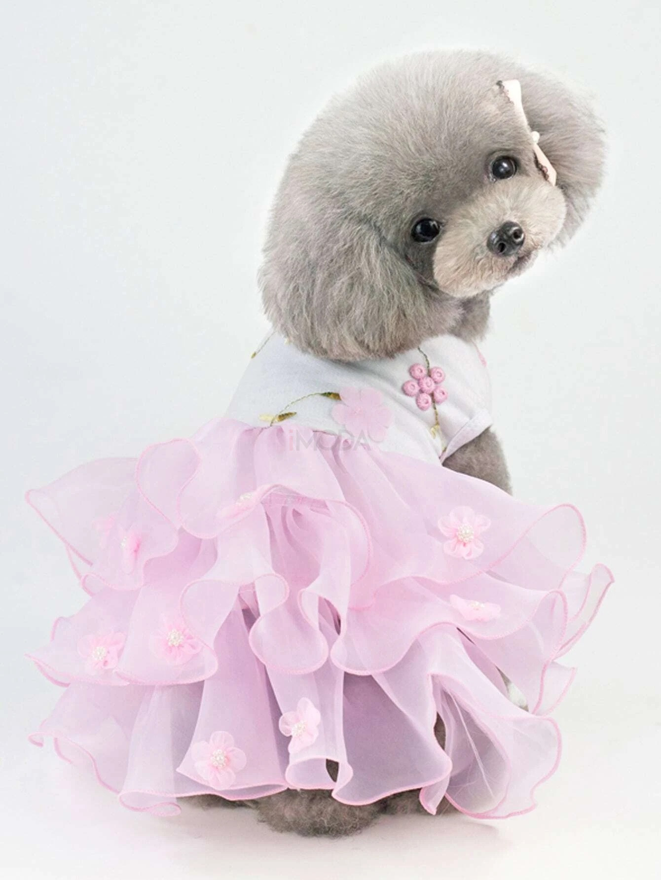 Ružové šaty pre psa-275891-35