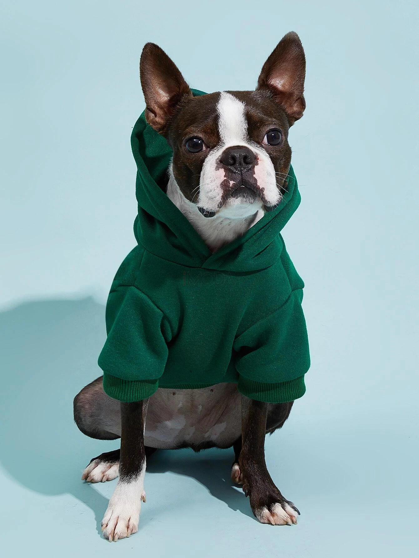 Zelená mikina s kapucňou pre psa-275090-32