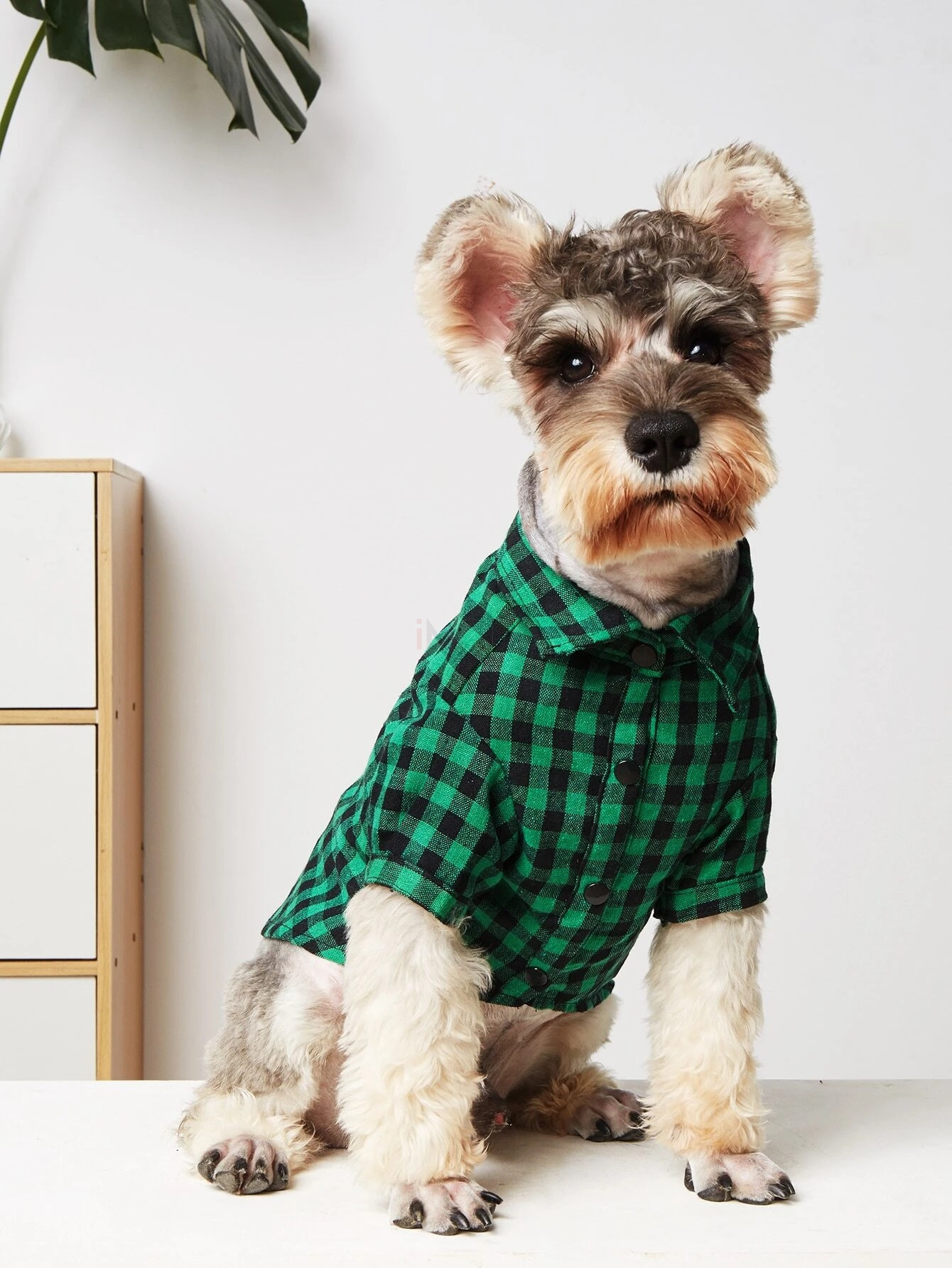 Zelená kockovaná košeľa pre psa-275686-31