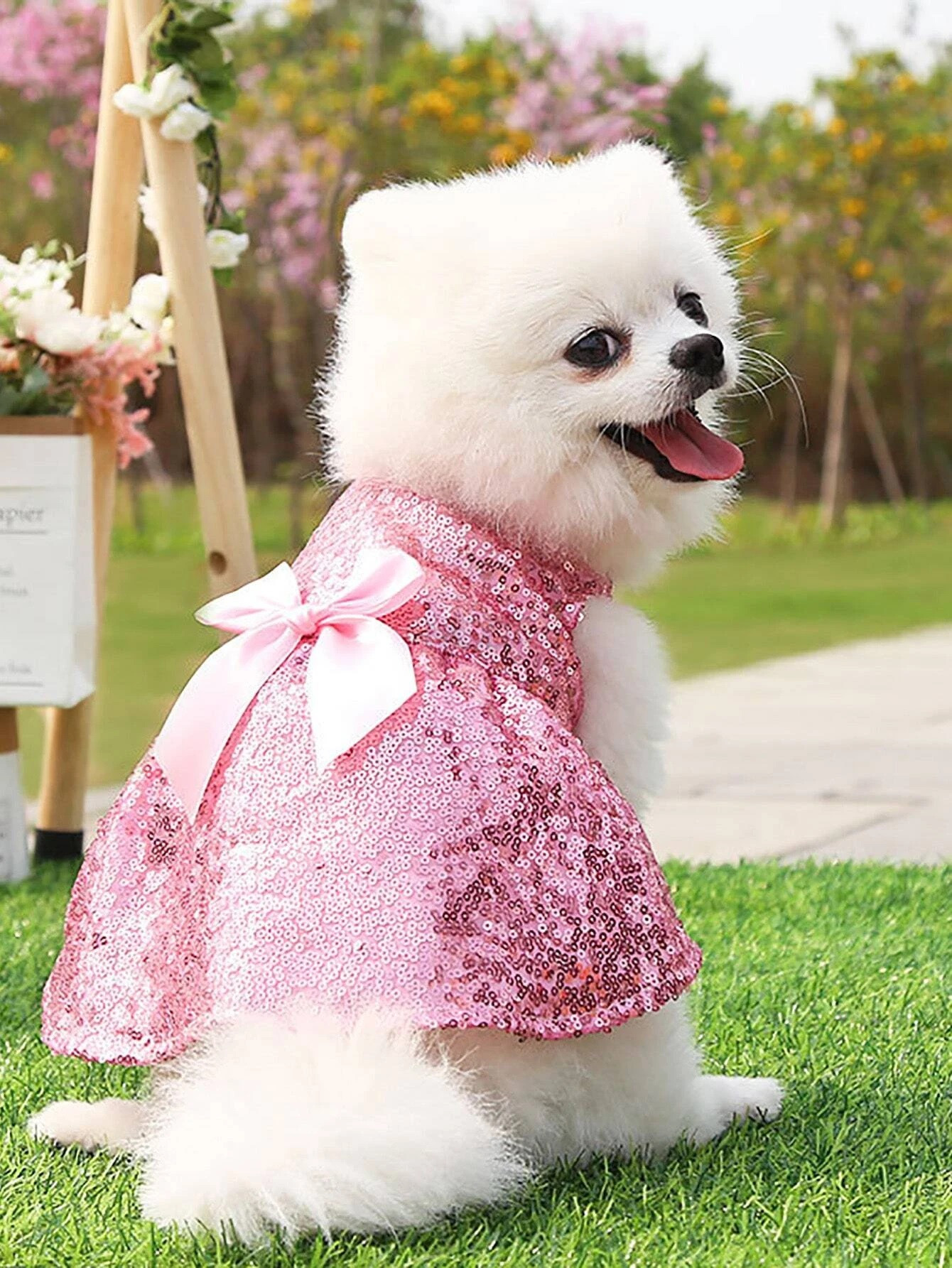 Ružové šaty pre psa-275927-34