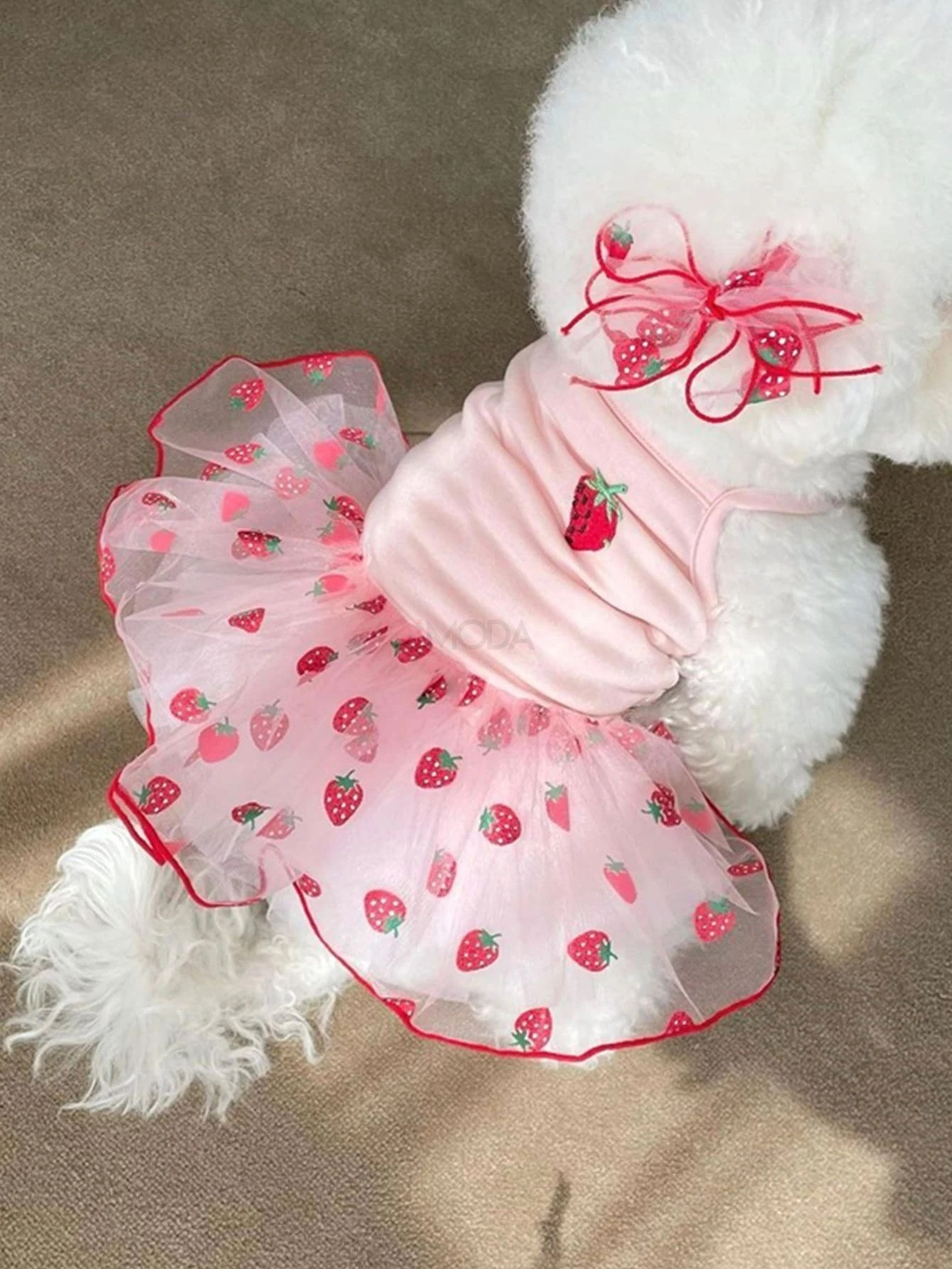 Ružové šaty pre psa-275894-37