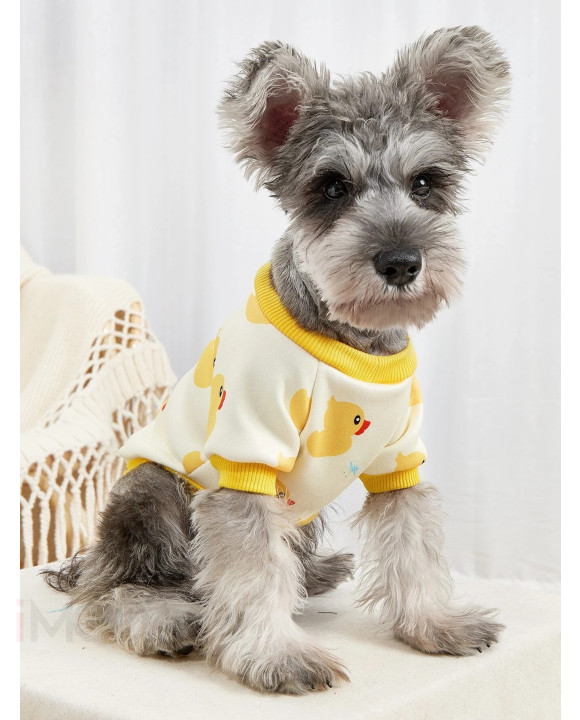 Žltá mikina pre psa s potlačou-275101-20