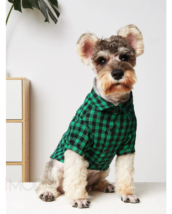 Zelená kockovaná košeľa pre psa-275686-20