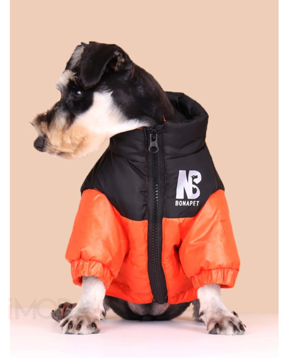 Oranžová vetrovka pre psa-275085-20