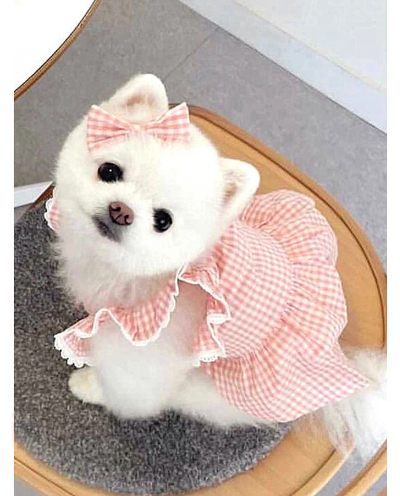 Ružový top pre psa-275922-20