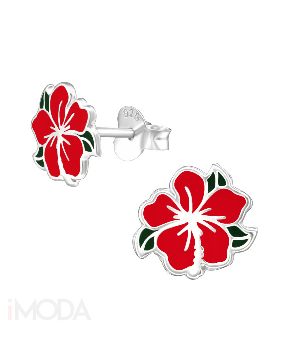 Strieborné náušnice-211803-20