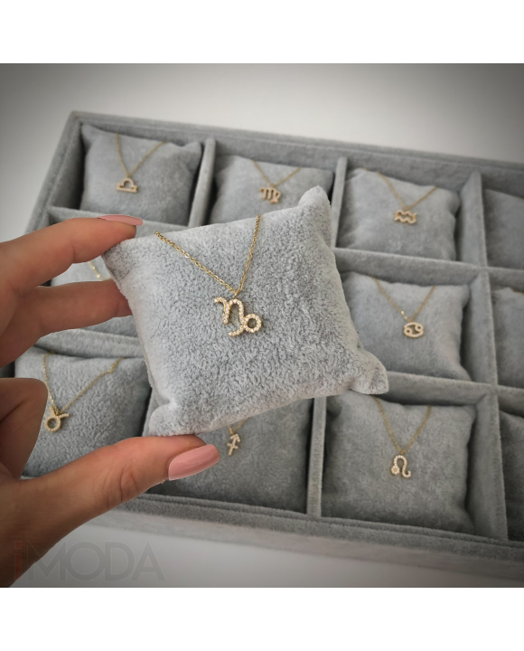 Dámsky oceľový náhrdelník kozorožec-291048-20