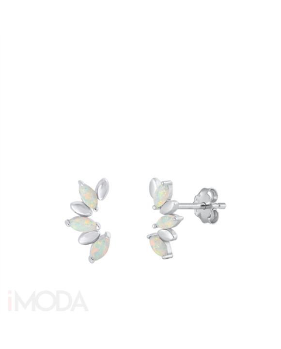 Strieborné náušnice-293020-20