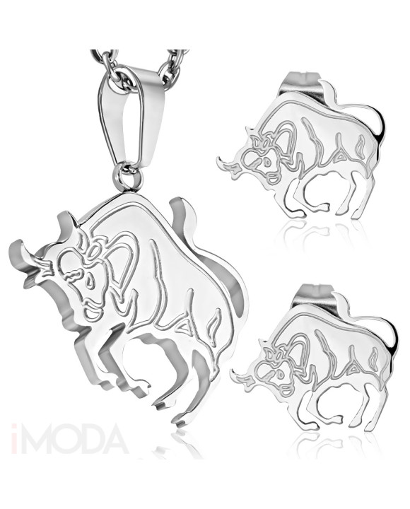 Dámska oceľová súprava