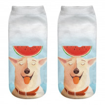 Ponožky Pes s melónom-182189-01