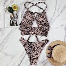 Leopardie dvojdielne plavky-263385-019