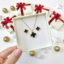 Dámska oceľová súprava s krabičkou Olivia-295603-06