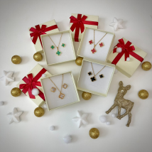 Dámska oceľová súprava s krabičkou Olivia-295604-04